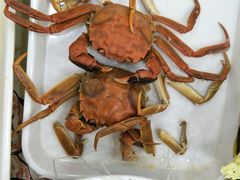 -大连海鲜斑鱼火锅(安平店)