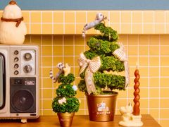 -BEAST野兽派(上海浦东嘉里城店)