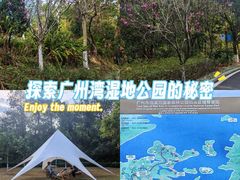 -广州市流溪河国家森林公园