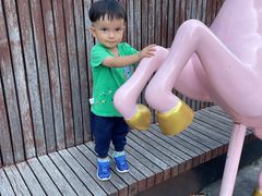 -龙岗区科技馆
