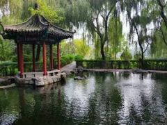 -百脉泉景区