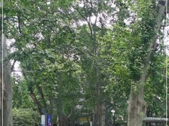 -静安公园(静安寺街道)