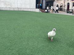 -华谊兄弟（长沙）电影小镇