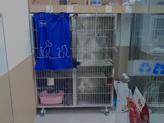 -美联众合24小时·皮肤科·外科·全科诊疗中心(华苑分院)