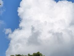 -苏州东太湖生态园