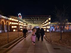 -葫芦古镇关东民俗雪乡