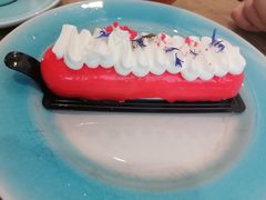 -共舞时光猫咖·狗咖(新街口店)