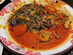 -福苗小骆驼烧烤(大唐不夜城店)