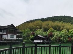 -旺山景区