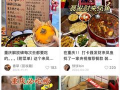 -聂发财重庆江湖菜(解放碑店)