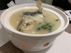 东坡河鱼-肆月河豚·新淮扬(金融街店)