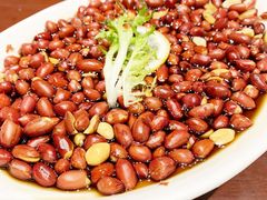 醋泡花生-小杨烤肉(高新店)