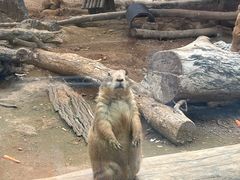 -大连森林动物园