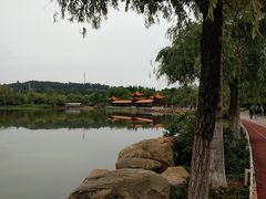 -洛龙公园