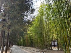 -蝴蝶泉公园