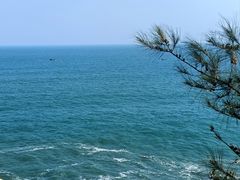 -广东惠东海龟国家级自然保护区