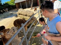 -西霞口神雕山野生动物世界