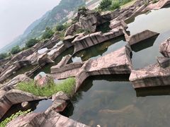 -蛇蟠岛