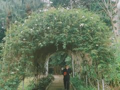 -人民公园(罗湖区)