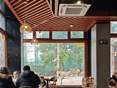 -上海野生动物园老虎餐厅