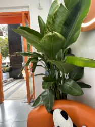 -洗脸熊·洗脸吧