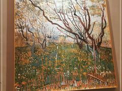 -佬肥猫(七宝宝龙店)