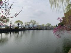 -无锡蠡湖国家湿地公园-蠡园