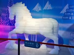 -顺德南宏海立方海洋公园