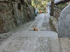 -浙江省博物馆(孤山馆区)