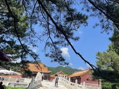 -万佛园景区