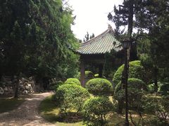 -叶家花园