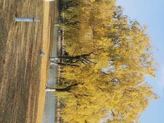 -东华大学(松江校区)