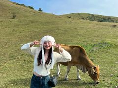 -大姆山草场