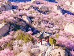-北京凤凰岭
