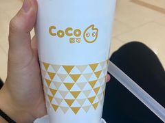 -CoCo都可(骆家庄新店)