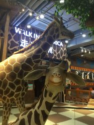 点击看大图 -鲁比猴非洲探索部落(喜盈门店)