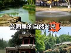 -温江公园