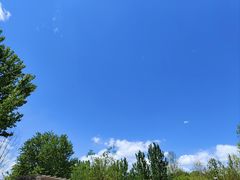 -北京鹿世界主题园