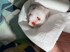 -粒上皇(悦荟广场店)