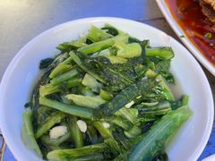 炒笋尖-胖哥家藏菜(护国路店)