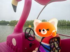 -大兴滨河森林公园