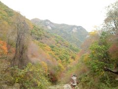 -龙道沟景区