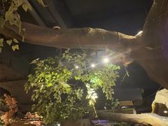 -城墙拐拐火锅(三峡广场黑金冠店)