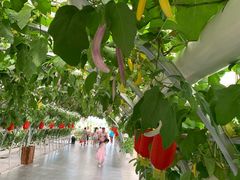 -兴芮温泉度假区