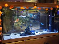 门面-悦和餐厅(CBD玉米楼店)