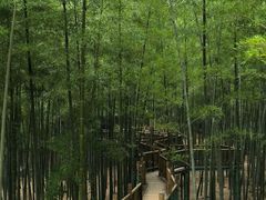 -陶祖圣境风景区