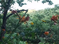 -北京水岸山吧度假村(雁栖镇店)