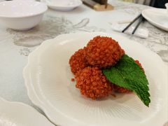 -佛山顺德香云纱园林酒店(清晖园店)
