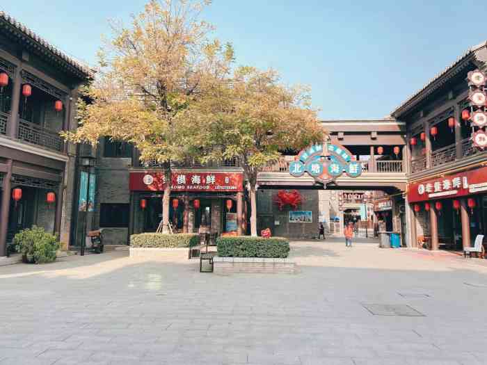 北塘古镇-"已经黄了,大家别再上当了,大老远的白跑一.