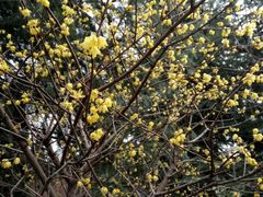 -白塘生态植物园